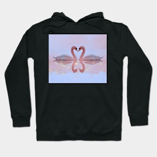 Love Swans (Two Swans) Hoodie